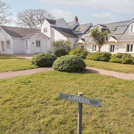 Daffodil Apartment Tenby Dış mekan fotoğraf