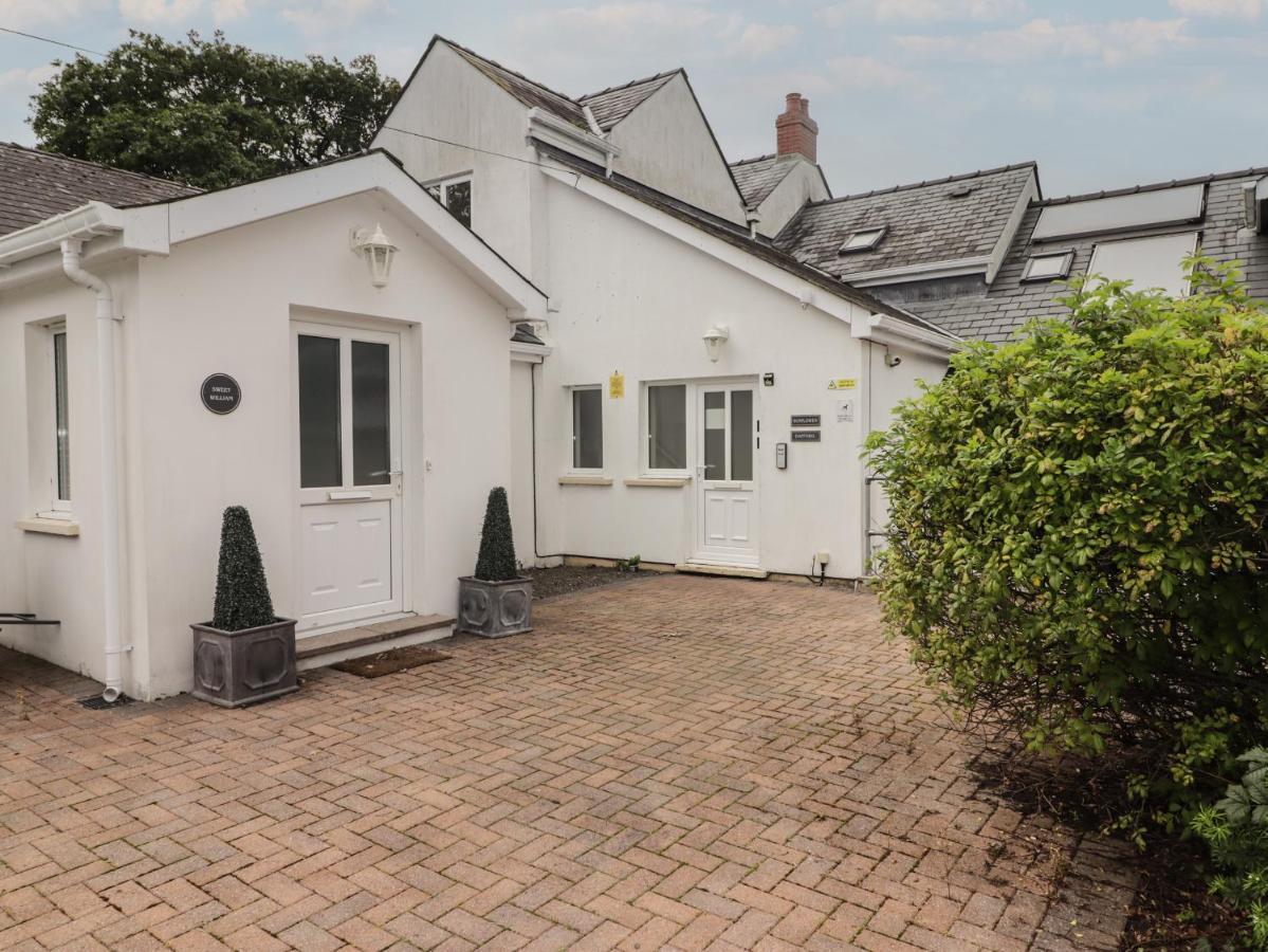 Daffodil Apartment Tenby Dış mekan fotoğraf