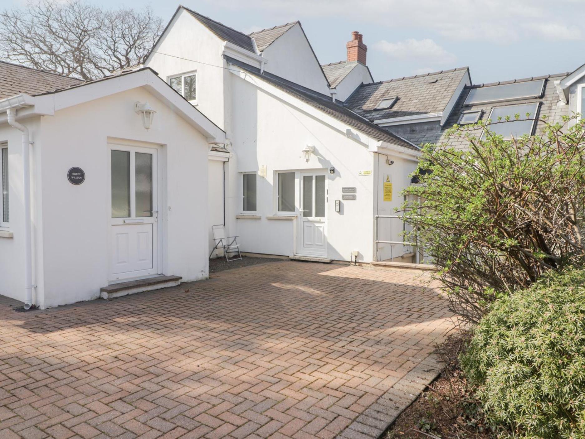 Daffodil Apartment Tenby Dış mekan fotoğraf