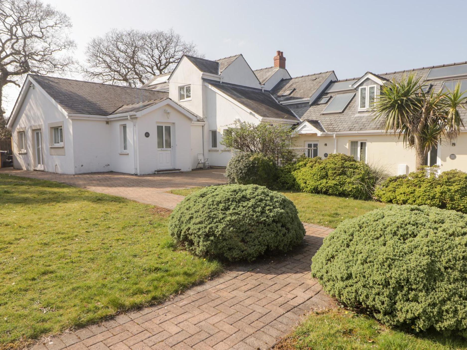 Daffodil Apartment Tenby Dış mekan fotoğraf